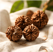 Four Rudraksha beads resting on cream cloth, a green leaf behind them
