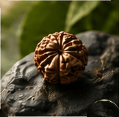 A single Rudraksha bead on dark stone with a green leaf above it